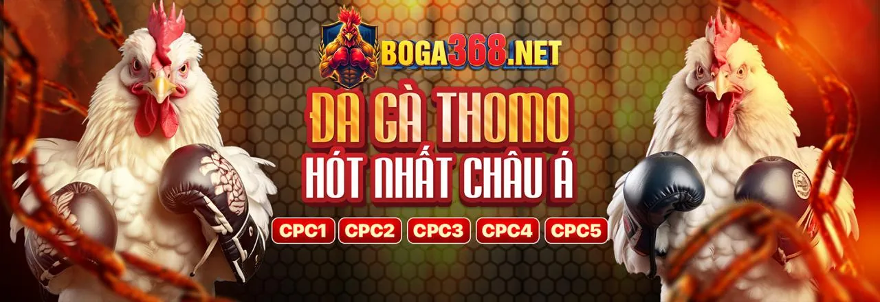 Đá gà trực tuyến az888 bet